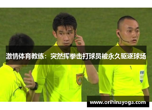 激情体育教练：突然挥拳击打球员被永久驱逐球场